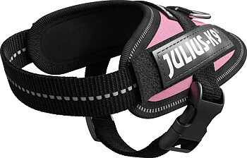 Julius-K9 IDC Sele Baby 1 Rosa 29-36 cm