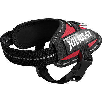 Julius-K9 IDC Sele Baby 1 Röd 29-36 cm