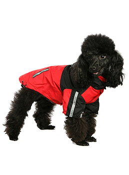 Urban Pup Trailfinder Windbreaker Jacka Svart/Röd