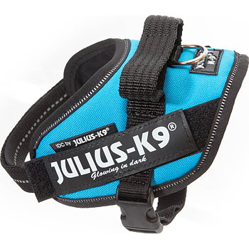 Julius-K9 IDC Sele Mini-Mini Aquamarine 40-53 cm