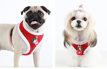 Puppia Blitzen Sele Modell A Röd