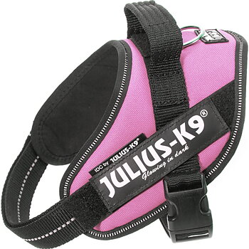 Julius-K9 IDC Sele Mini Rosa 49-67 cm