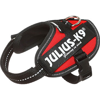 Julius-K9 IDC Sele Baby 2 Röd 33-45 cm