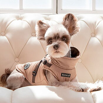 Puppia Täcke Mountaineer II Beige