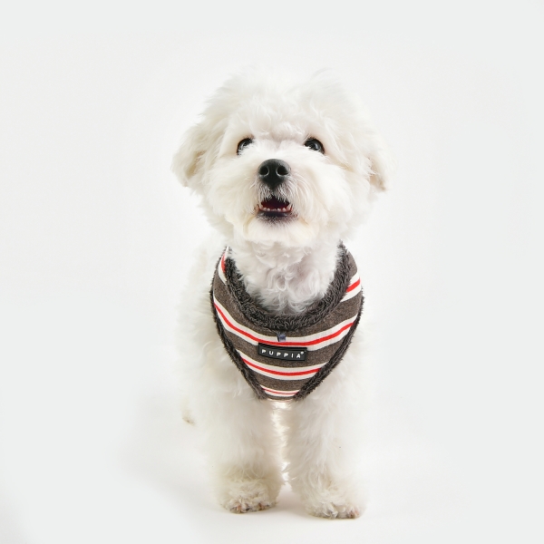 Puppia Rowdy Sele Svart/Gul/Vit - 6
