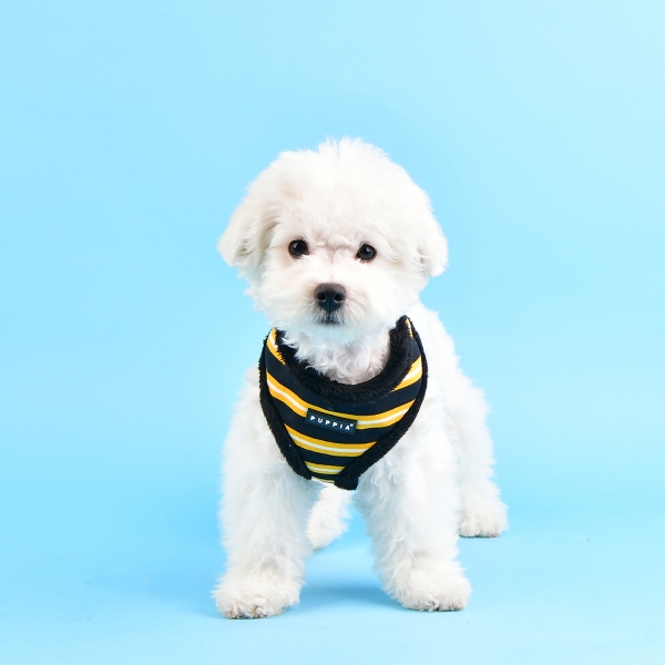 Puppia Rowdy Sele Svart/Gul/Vit - 5