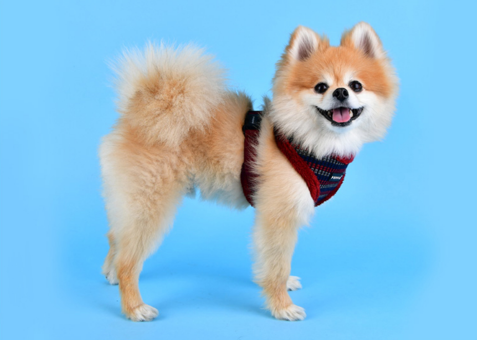Puppia Elliott Sele Modell A Grå - 6