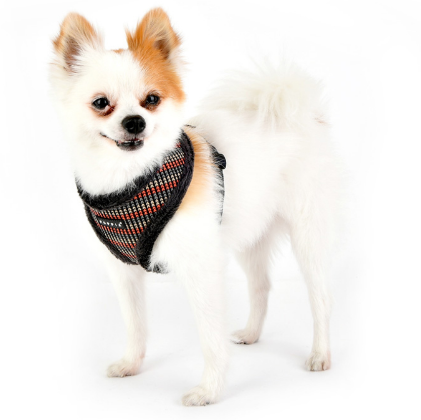 Puppia Elliott Sele Modell A Grå - 2