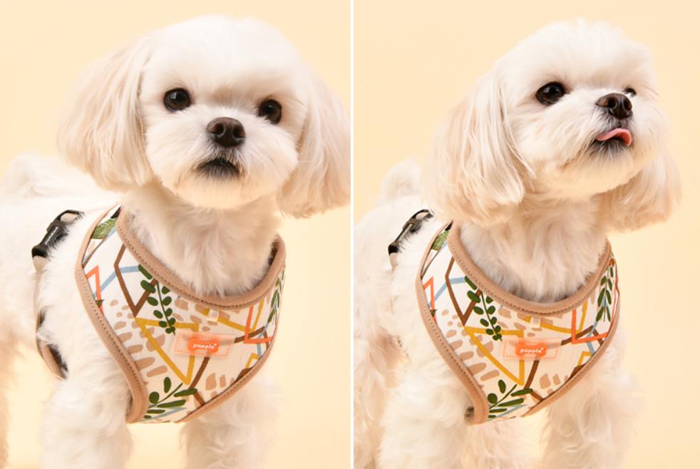 Puppia Sele Botanical Beige - 8
