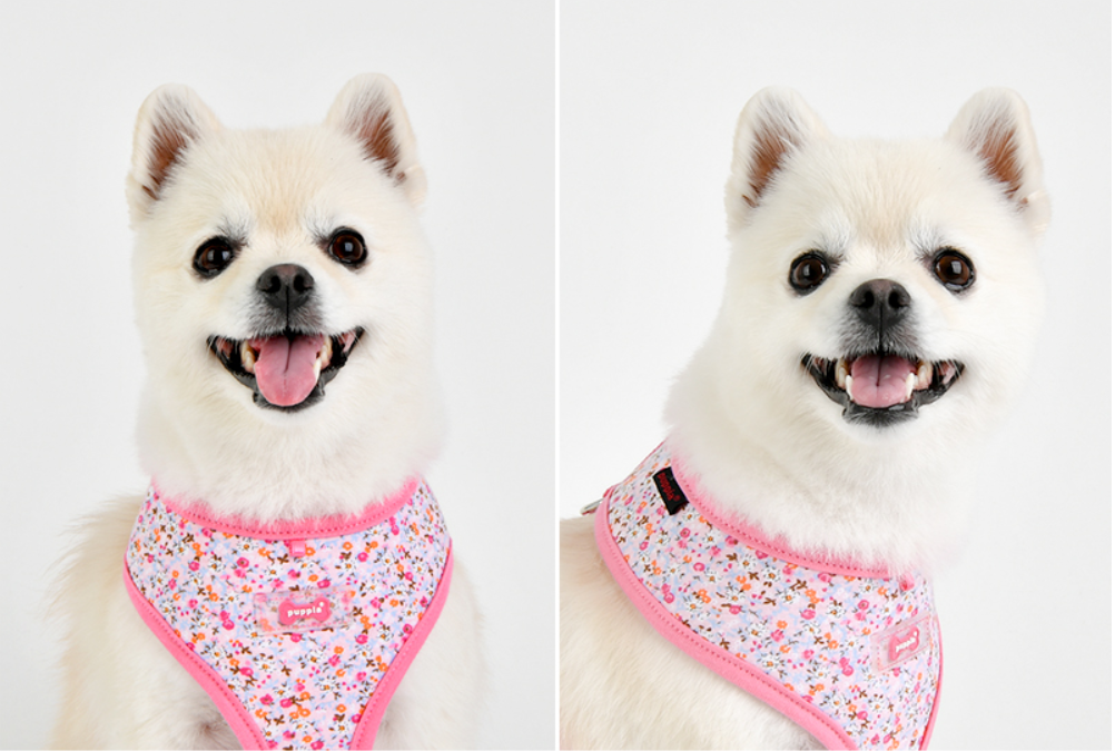 Puppia Sele Wildflower Rosa - 3