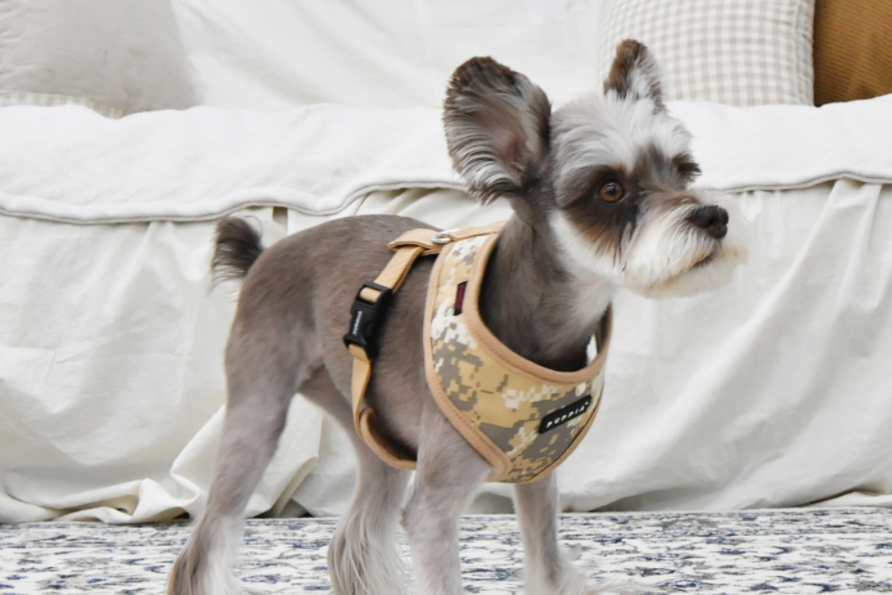 Puppia Sele Sentinel Khaki Camo - 9