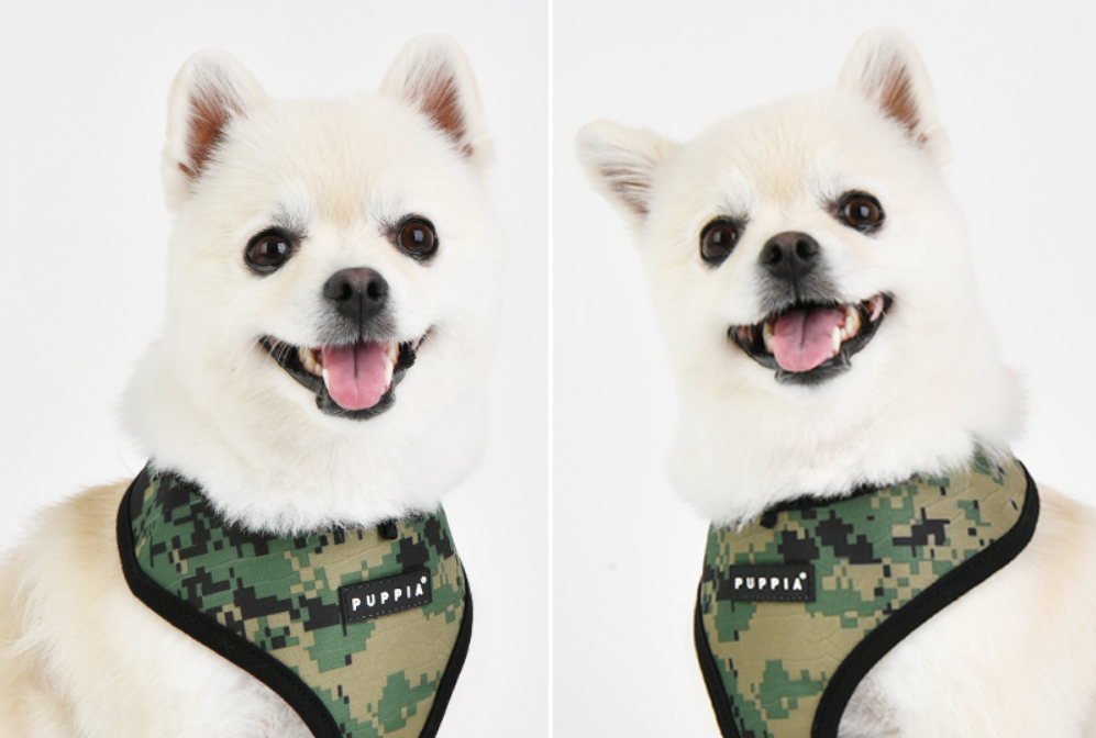 Puppia Sele Sentinel Khaki Camo - 2
