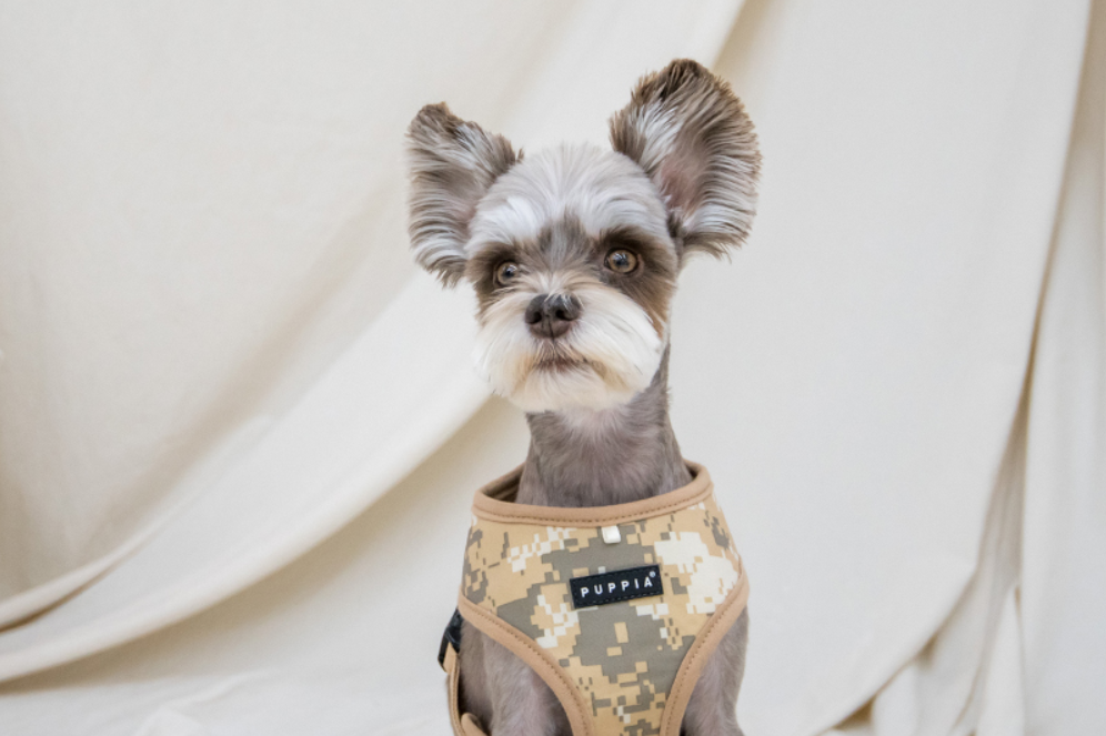 Puppia Sele Sentinel Khaki Camo - 8