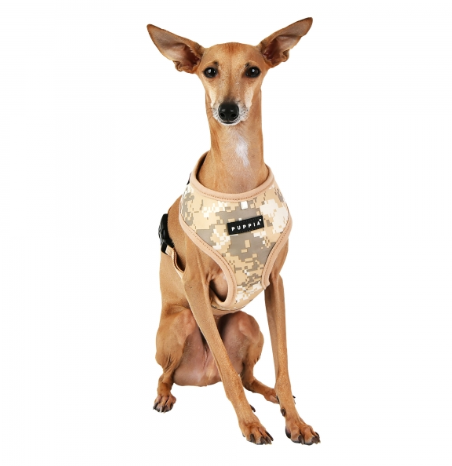 Puppia Sele Sentinel Beige Camo - 5