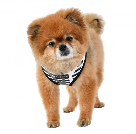 Puppia Sele Briton Svart/Vit - 3