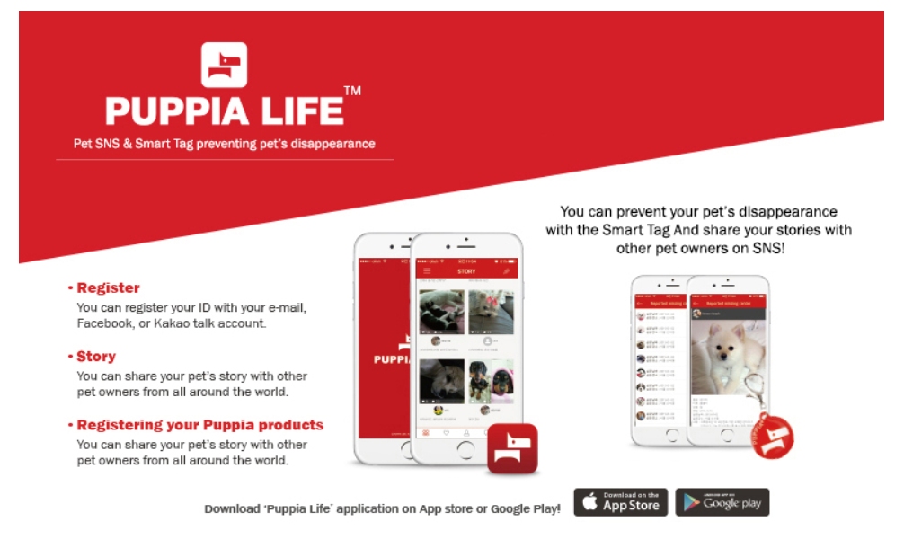 Puppia Sele Briton Svart/Vit - 11