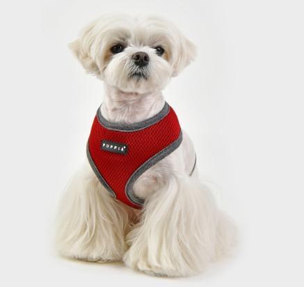 Puppia Soft Sele II Vinröd - 2