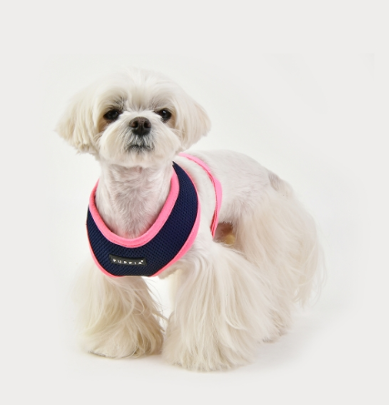 Puppia Soft Sele II Marinblå - 2
