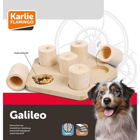 Aktivitetsleksak Galileo - 2