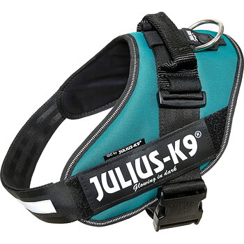 Julius-K9 IDC Sele Strl. 2 Petrol 71-86 cm