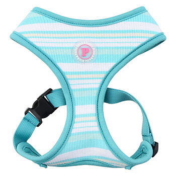 Pinkaholic Cara Sele Aqua 