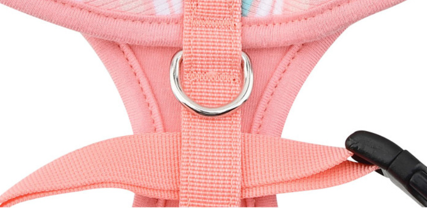 Pinkaholic Cara Sele Rosa - 5