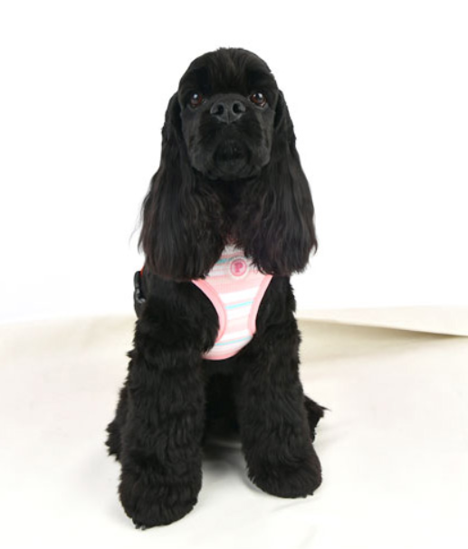 Pinkaholic Cara Sele Rosa - 6