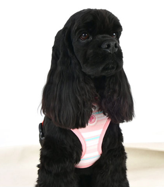 Pinkaholic Cara Sele Rosa - 2