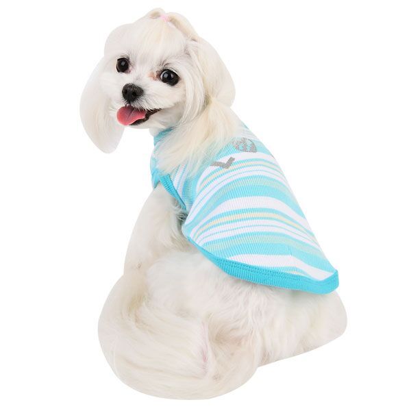 Pinkaholic Cara Hundtröja Aqua - 7