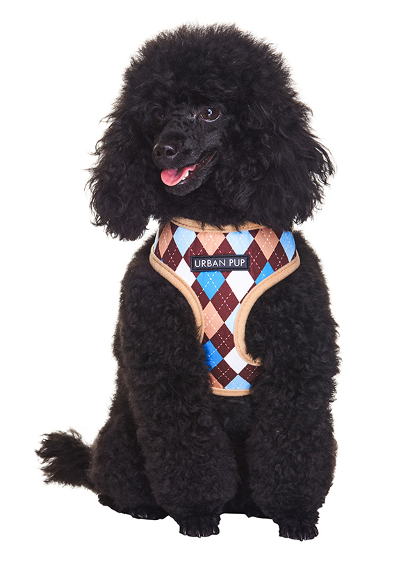 Urban Pup Brown & Blue Argyle Sele Blå/Brun - 3