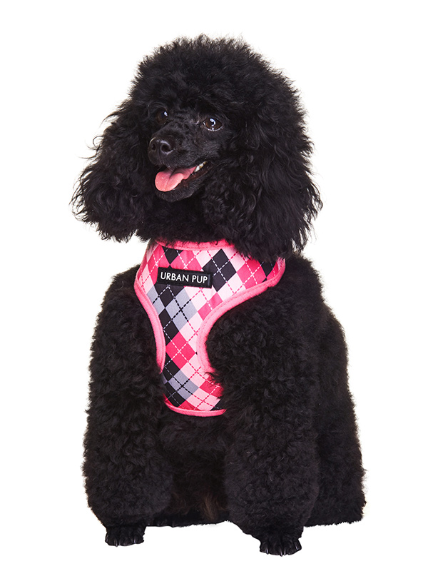 Urban Pup Pink Argyle Sele Rosa - 3