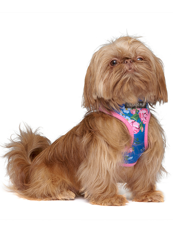 Urban Pup Pink/Blue Floral Burst Sele Rosa/Blå - 3