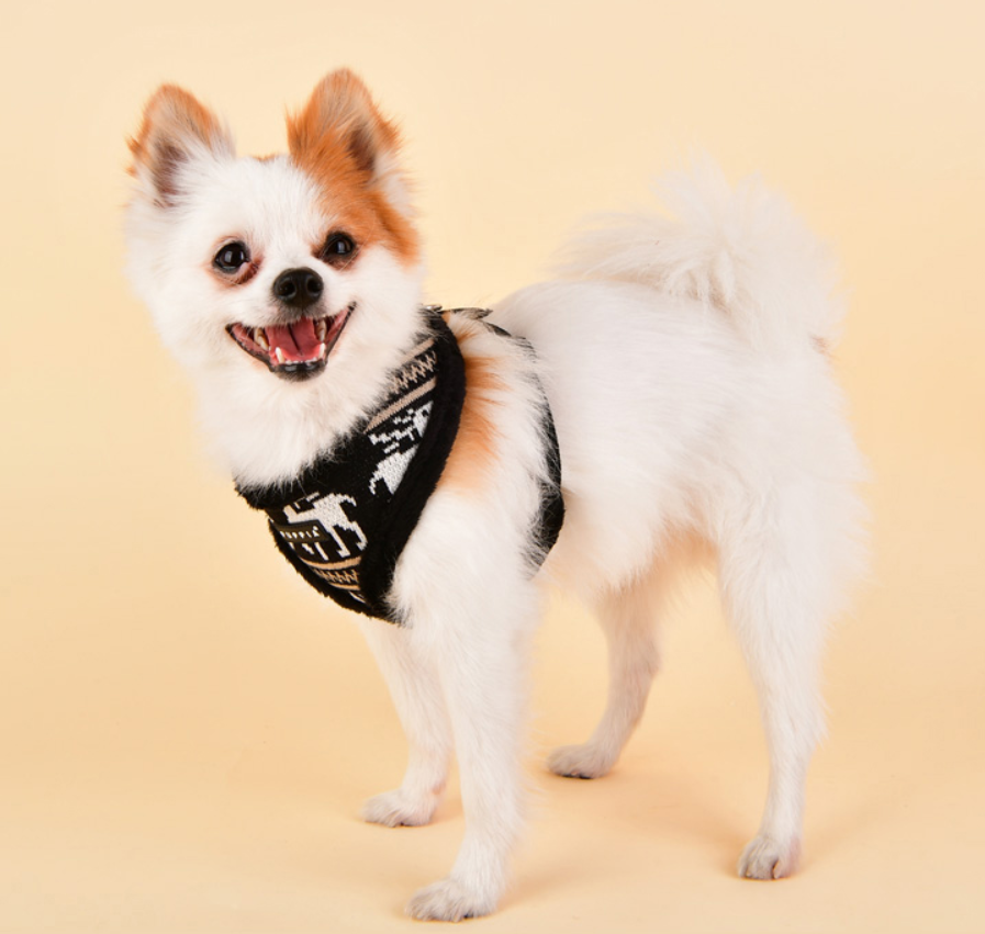 Puppia Prancer Sele Svart - 2