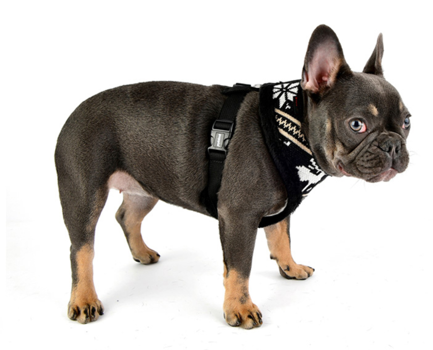 Puppia Prancer Sele Svart - 7
