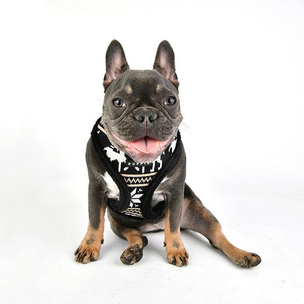 Puppia Prancer Sele Svart - 6