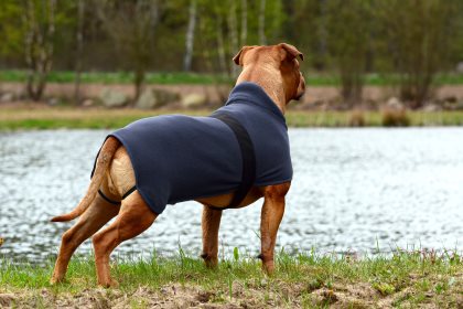 Jacson Fleece Hundtäcke Marinblå 20cm  - 3