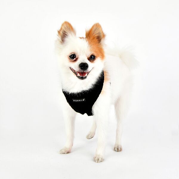 Puppia Terry Sele Svart - 6