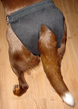 Dogman Tikskydd Justerbart Medium 37-46cm