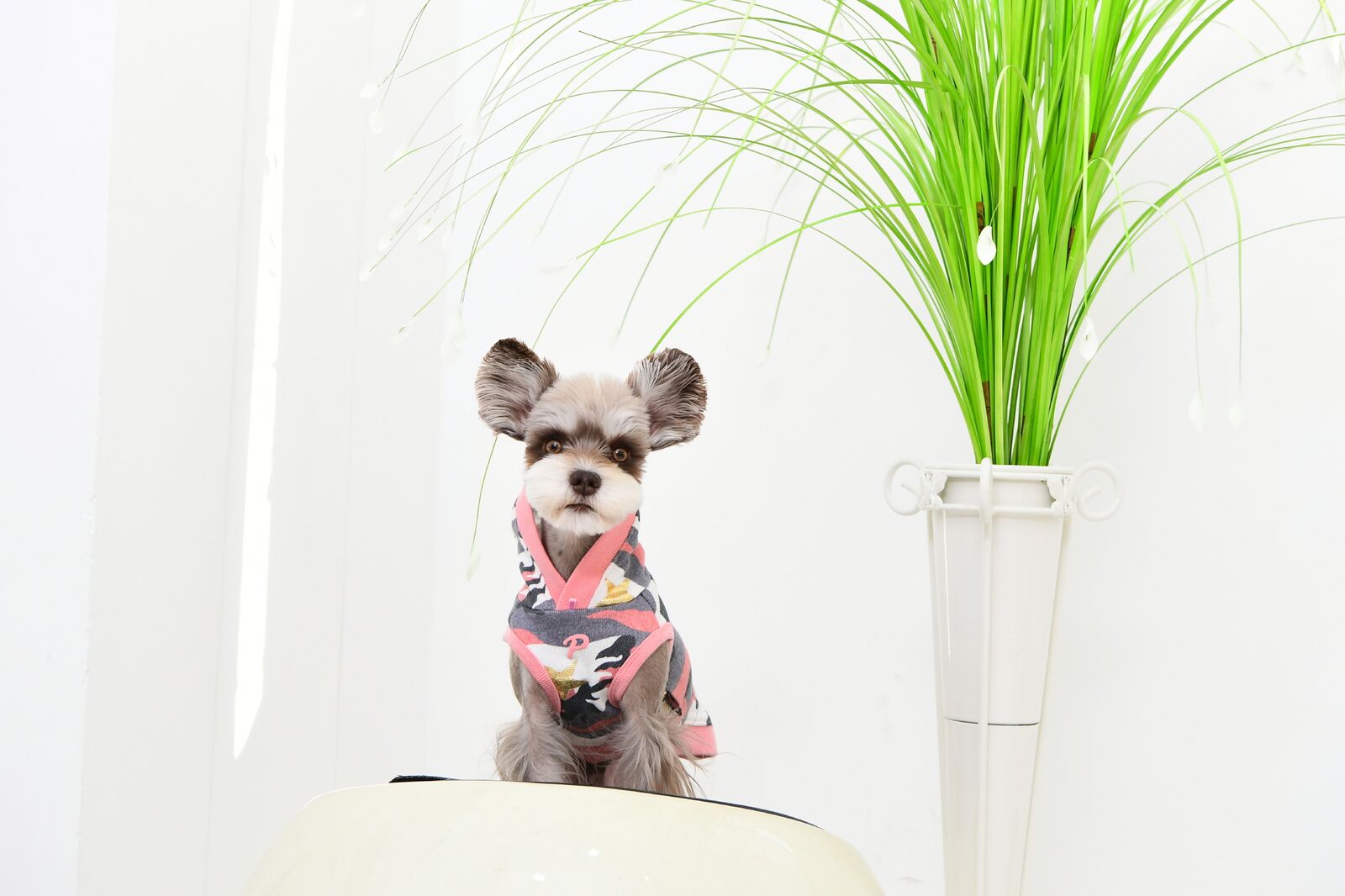 Puppia Hundtröja Ensign Rosa Camo - 4