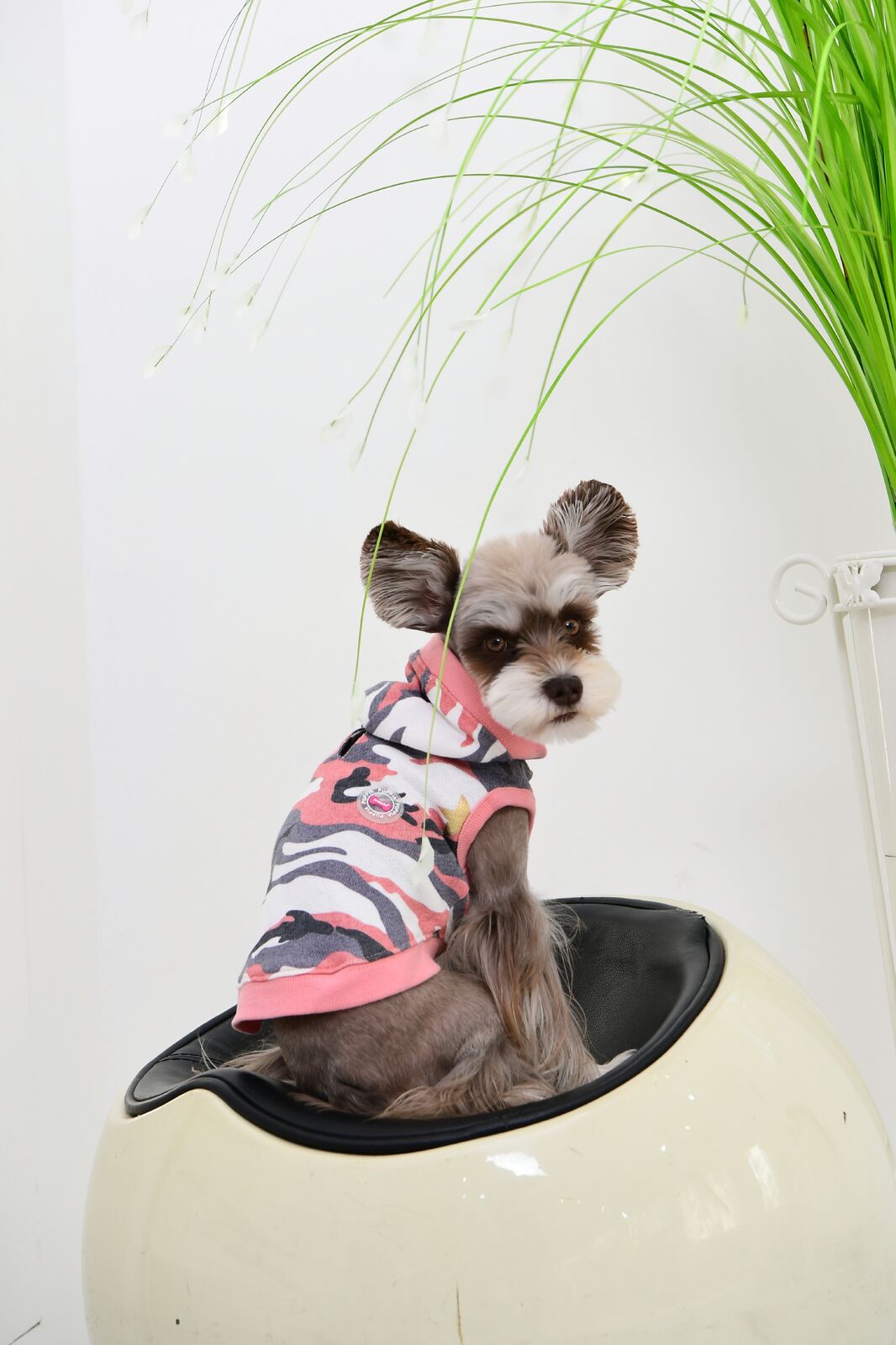 Puppia Hundtröja Ensign Rosa Camo - 3