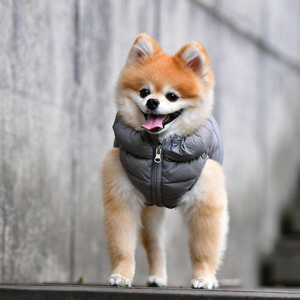 Puppia Hundtäcke Ultralight Vest B Grå  - 2