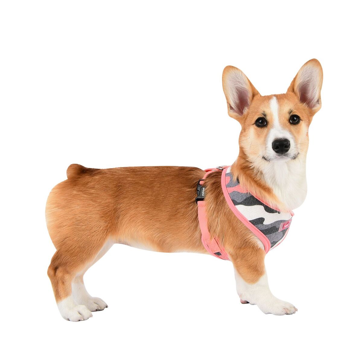 Puppia Ensign Hundsele Rosa Camo - 4