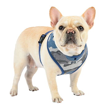 Puppia Ensign Hundsele Blå Camo