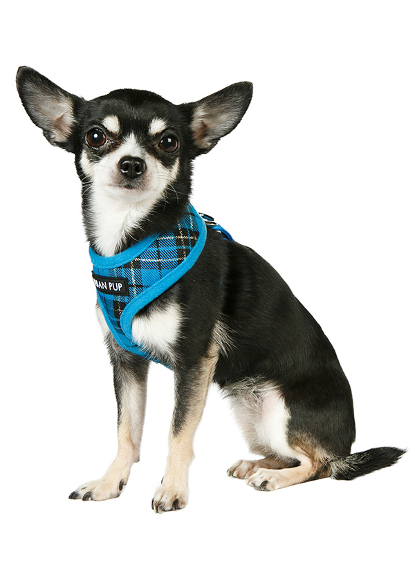 Urban Pup Blue Tartan Sele Blå - 3