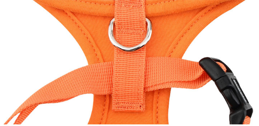 Puppia Rowan Sele Modell A Aqua - 9