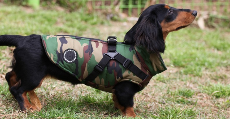 Puppia Täcke Mountaineer II Camo Small - 5