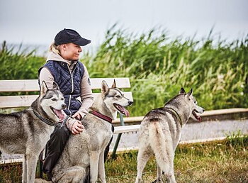 Kennel Equip Halsband Halvstryp Active Blå