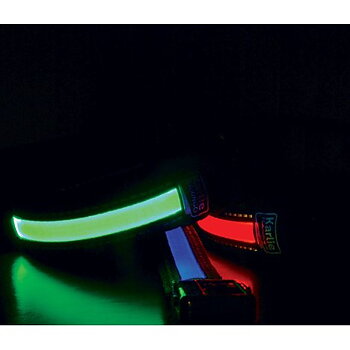 Hundhalsband Blink LED Blå 48cm