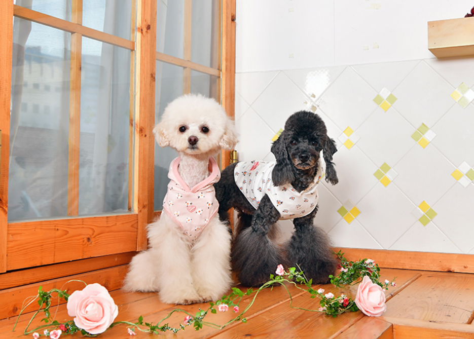 Pinkaholic Fiorella Hundtröja Ivory Small - 8