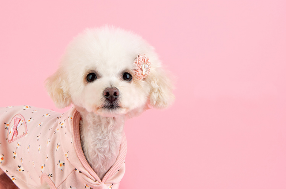 Pinkaholic Fiorella Hundtröja Ivory Small - 9